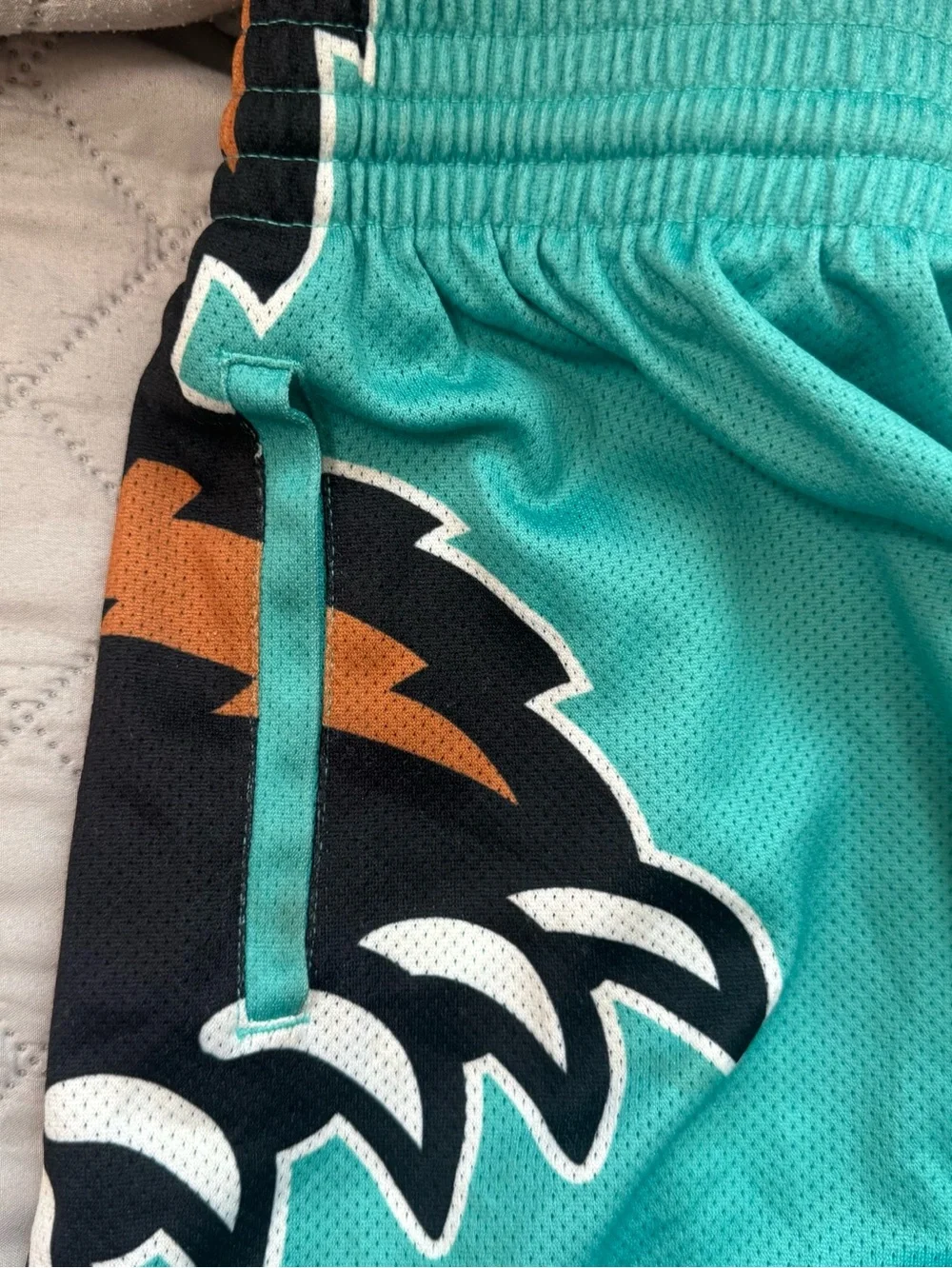 Mitchell & Ness Vancouver Grizzlies Big Face Hardwood Classics SWINGMAN Shorts L